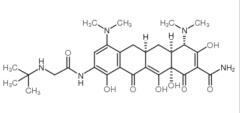 Tigecycline