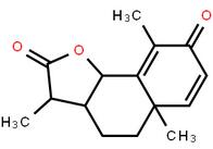 LOXO101 Intermediate 1