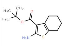 2-AMino-4,5,6,7-tetrahydro-benzo[b]thiophene-3-carboxylic acid tert-butyl ester