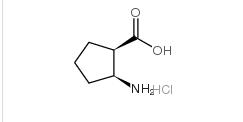 Cyclopentanecarboxylicacid, 2-amino-, hydrochloride (1:1), (1R,2S)