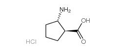 Cyclopentanecarboxylicacid, 2-amino-, hydrochloride (1:1), (1S,2S)