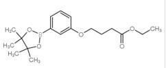 Butanoic acid,4-[3-(4,4,5,5-tetramethyl-1,3,2-dioxaborolan-2-yl)phenoxy]-, ethyl ester