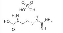 L-CANAVANINE SULFATE