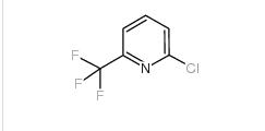 2-Chloro-6-(trifluoromethyl)pyridine