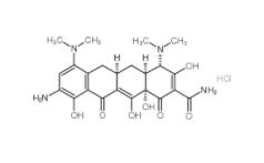 9-Amino-minocycline hydrochloride  149934-21-4
