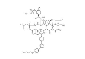 Micafungin Sodium  208538-73-2