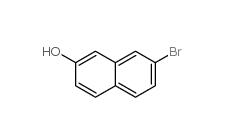 7-Bromo-2-naphthol  116230-30-9