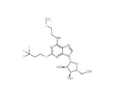 N6-(2-methylthioethyl)-2-(3,3,3-trifluoropropylthio)adenosine  163706-58-9