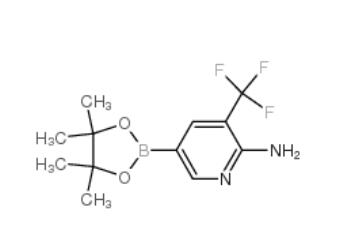 5-(4,4,5,5-tetramethyl-1,3,2-dioxaborolan-2-yl)-3-(trifluoromethyl)pyridin-2-amine  947249-01-6