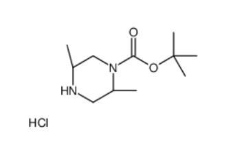 (2R,5S)-1-Boc-2,5-dimethylpiperazine hydrochloride  792969-69-8