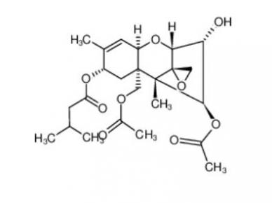 T-2 TOXIN  21259-20-1