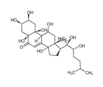 (2S,3R,5S,9R,10R,11R,13R,14S,17S)-17-[(2R,3R)-2,3-dihydroxy-6-methylheptan-2-yl]-2,3,5,11,14-pentahydroxy-10,13-dimethyl-1,2,3,4,9,11,12,15,16,17-decahydrocyclopenta[a]phenanthren-6-one  38778-30-2