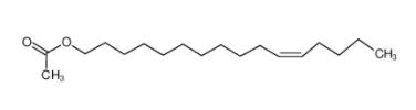 [(Z)-hexadec-11-enyl] acetate  34010-21-4