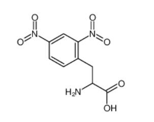 2,4-Dinitrophenylalanine  49607-21-8