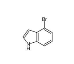 4-bromo-1H-indole  52488-36-5