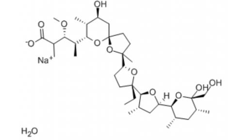 22373-78-0 Monensin sodium salt