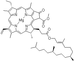 Chlorophyll  1406-65-1